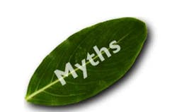 Judykaymasouf Pm Article Judykaymasouf Pm Article