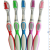 tess toothbrushes