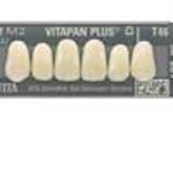 VITA-Shades-2 VITA-Shades-2