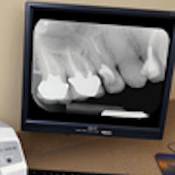 Content Dam Diq Online Articles 2013 06 Swift On Counter 2 Content Dam Diq Online Articles 2013 06 Swift On Counter 2