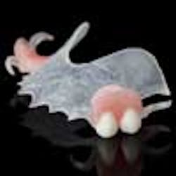 Content Dam Diq Online Articles 2013 07 Microdental Visiclear100 Content Dam Diq Online Articles 2013 07 Microdental Visiclear100