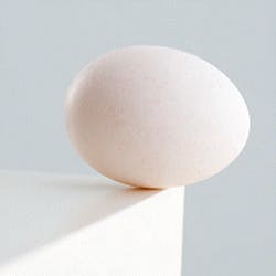 Egg at tipping point Egg at tipping point