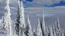 Content Dam Diq Online Articles 2015 03 Montana Trees Stacey Article Thumbnail Content Dam Diq Online Articles 2015 03 Montana Trees Stacey Article Thumbnail