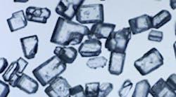 Granulated sugar viewed under our microscope