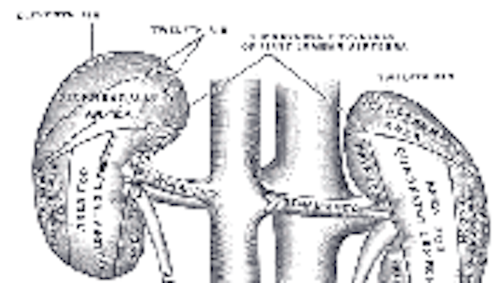 Content Dam Diq Online Articles 2015 04 Greys Anatomy Kidney180 100