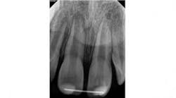 Content Dam Diq Online Articles 2015 06 15june4bc Petrino Article Thumb Content Dam Diq Online Articles 2015 06 15june4bc Petrino Article Thumb