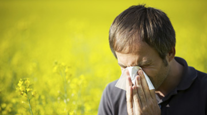 Content Dam Diq Online Articles 2015 06 Hay Fever 360 200