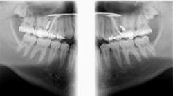 Content Dam Diq Online Articles 2015 07 15july2bcdennehy Article Thumbnail Content Dam Diq Online Articles 2015 07 15july2bcdennehy Article Thumbnail