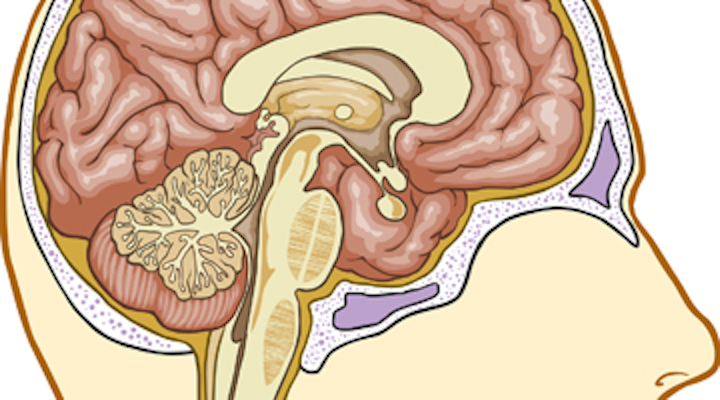 Content Dam Diq Online Articles 2015 07 Brain Stem 360 200