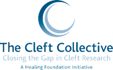 Content Dam Diq Online Articles 2015 07 Cleftcollective