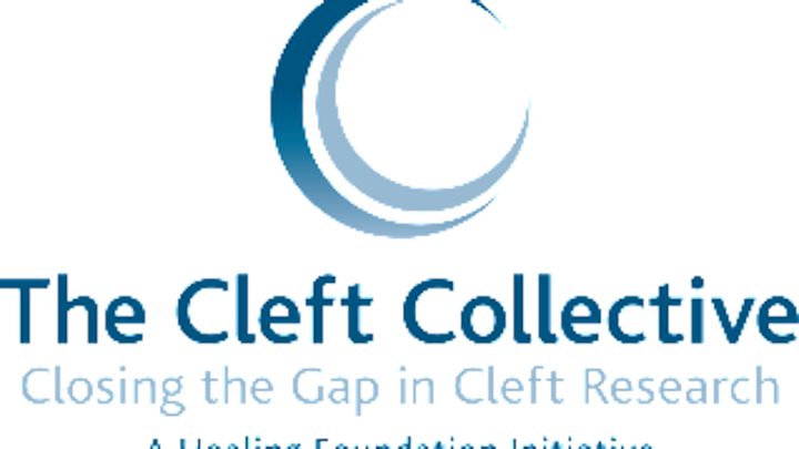 Content Dam Diq Online Articles 2015 07 Cleftcollective