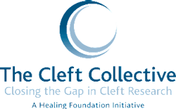 Content Dam Diq Online Articles 2015 07 Cleftcollective Content Dam Diq Online Articles 2015 07 Cleftcollective