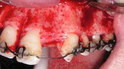 Content Dam Diq Online Articles 2015 09 15sept3bc Andrews Article Thumbnail Content Dam Diq Online Articles 2015 09 15sept3bc Andrews Article Thumbnail