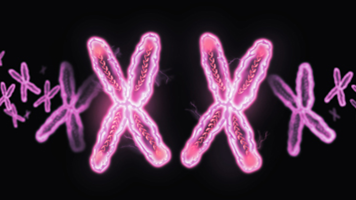 Content Dam Diq Online Articles 2015 09 Female Chromosome Thumb