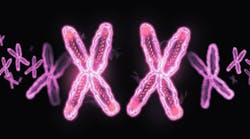 Content Dam Diq Online Articles 2015 09 Female Chromosome Thumb Content Dam Diq Online Articles 2015 09 Female Chromosome Thumb