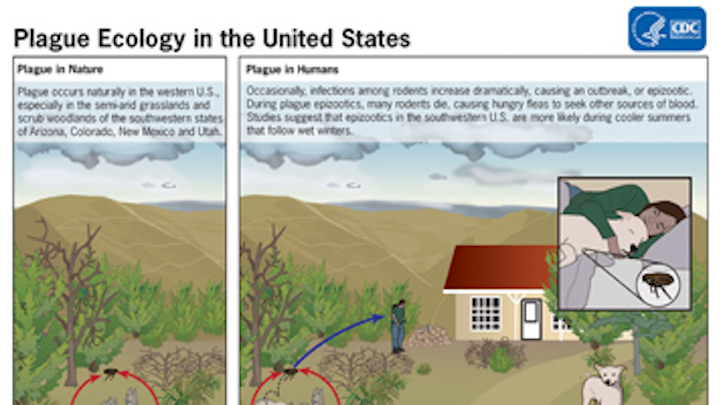 Content Dam Diq Online Articles 2015 09 Plagueecologyus 360 200