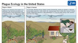 Content Dam Diq Online Articles 2015 09 Plagueecologyus 360 200 Content Dam Diq Online Articles 2015 09 Plagueecologyus 360 200