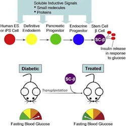 10 17 Focus 15 10 17 Focus 15