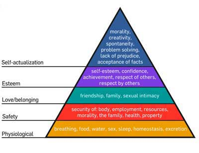 1309endoguytonniessen1