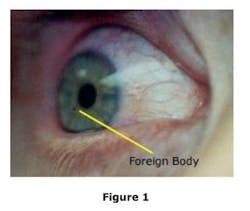 1504diqarsenaulttayebi01 1504diqarsenaulttayebi01