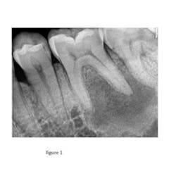 15feb19bczuroff01 15feb19bczuroff01