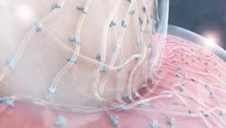 1 2 Focus 4 1 2 Focus 4