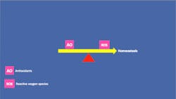 Antioxidant 1 Antioxidant 1