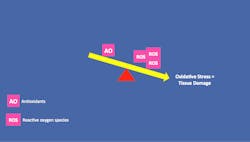 Antioxidant 2 Antioxidant 2