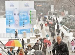 Apples And Oranges Apples And Oranges