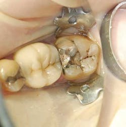 Apr112013 Gottlieb Fig1 Apr112013 Gottlieb Fig1