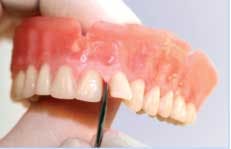 Avadent Es Avadent Es