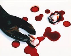 Avant Garde Avant Garde