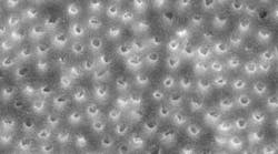 Content Dam Diq Online Articles 2015 11 15nov5bc Musikant Cleanse Canal Article Thumb Content Dam Diq Online Articles 2015 11 15nov5bc Musikant Cleanse Canal Article Thumb