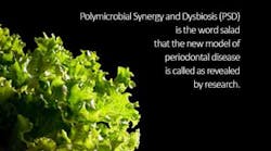 Content Dam Diq Online Articles 2015 11 Lettuce Dreamstime Nagelberg Blog2 Article Thumbnail Content Dam Diq Online Articles 2015 11 Lettuce Dreamstime Nagelberg Blog2 Article Thumbnail