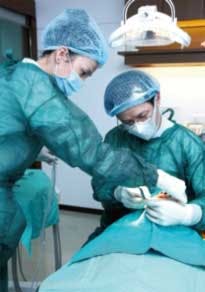 Dental Scaling Fo Dental Scaling Fo