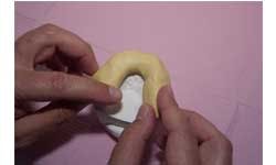 Ditolla 02 Sm Ditolla 02 Sm