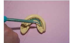 Ditolla 03 Sm Ditolla 03 Sm