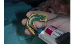 Ditolla 06 Sm Ditolla 06 Sm