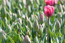 Dmmainphoto Dmmainphoto