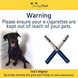 Dog Nicotine Fo Dog Nicotine Fo