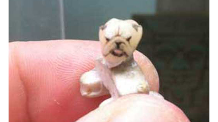Dog Tooth Tattoo