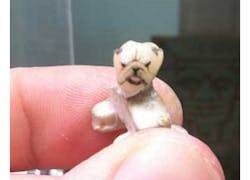 Dog Tooth Tattoo Dog Tooth Tattoo