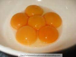 Egg Yolks Fo