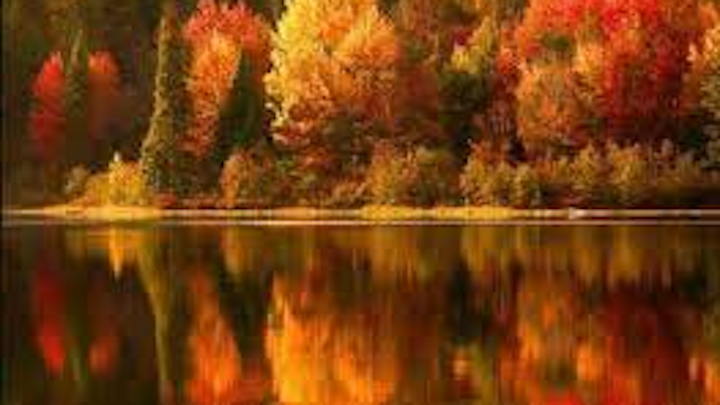 Fall Fo