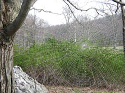 Floss Film 2 Floss Film 2