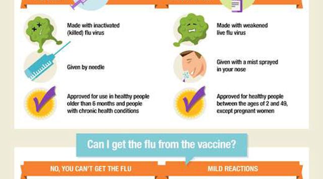 Flu Graphic Fo