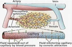 Fluid Fo Fluid Fo