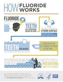 Fluoride Infographic How It Works Fluoride Infographic How It Works
