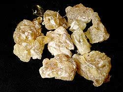 Frankincense Fo Frankincense Fo
