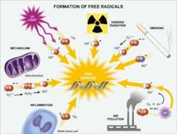 Free Radicals Fo Free Radicals Fo